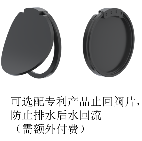 中文止回阀片.png
